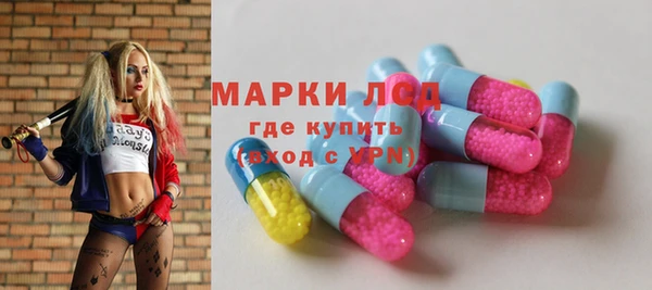 твердый Абаза