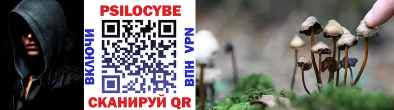 Псилоцибиновые грибы Magic Shrooms  купить закладку  Шали 